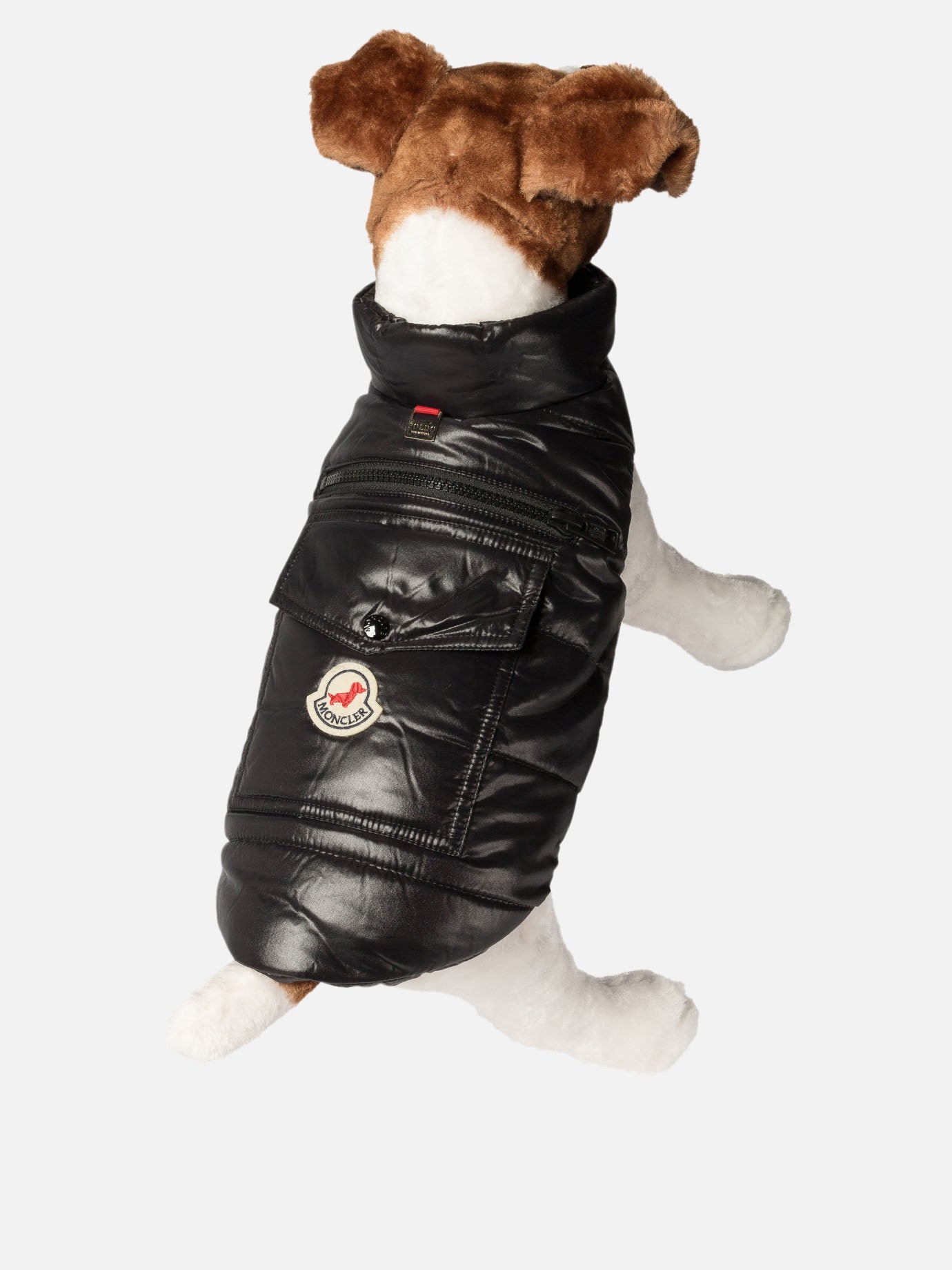 Dog vest