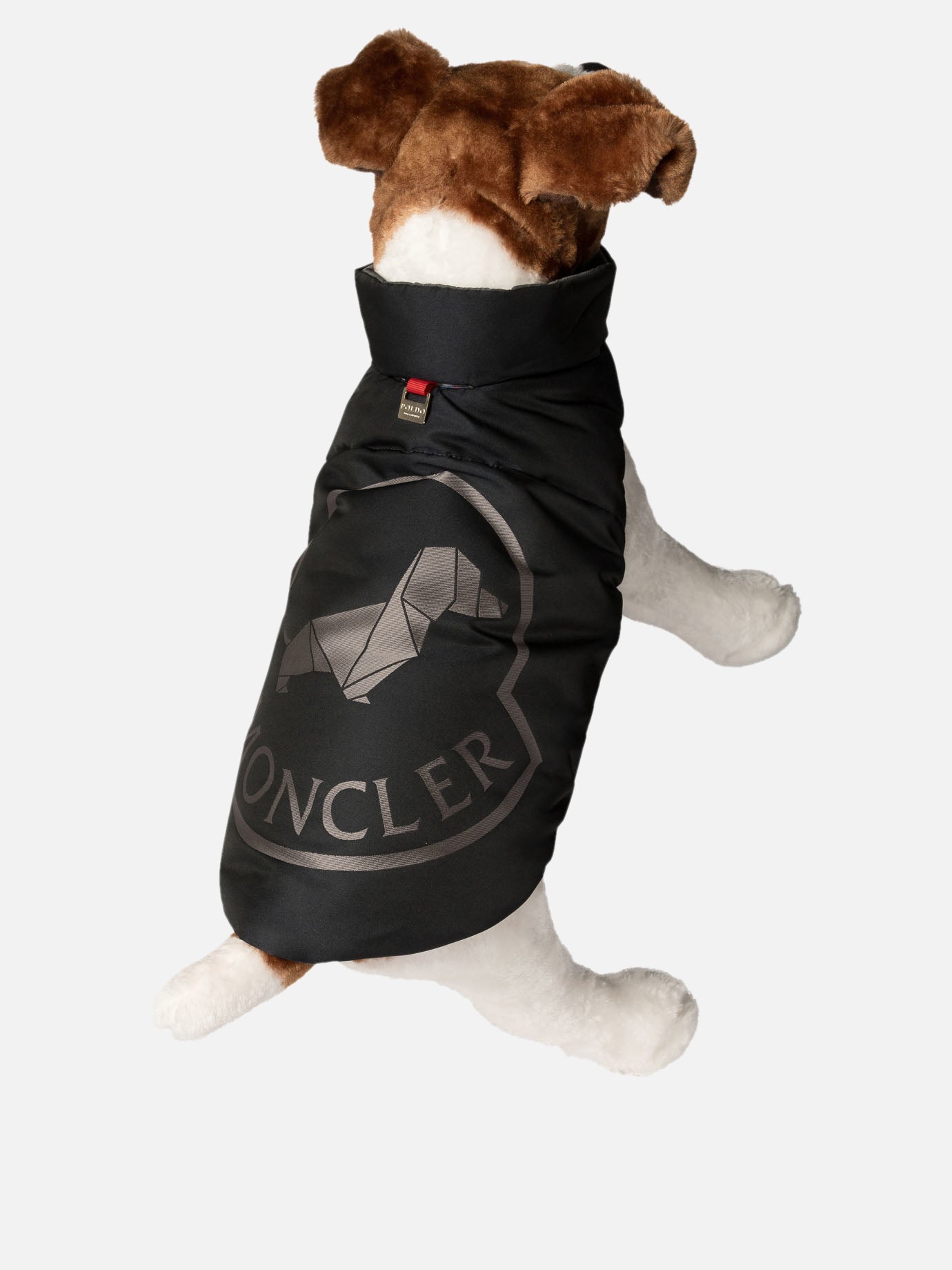 Dog vest