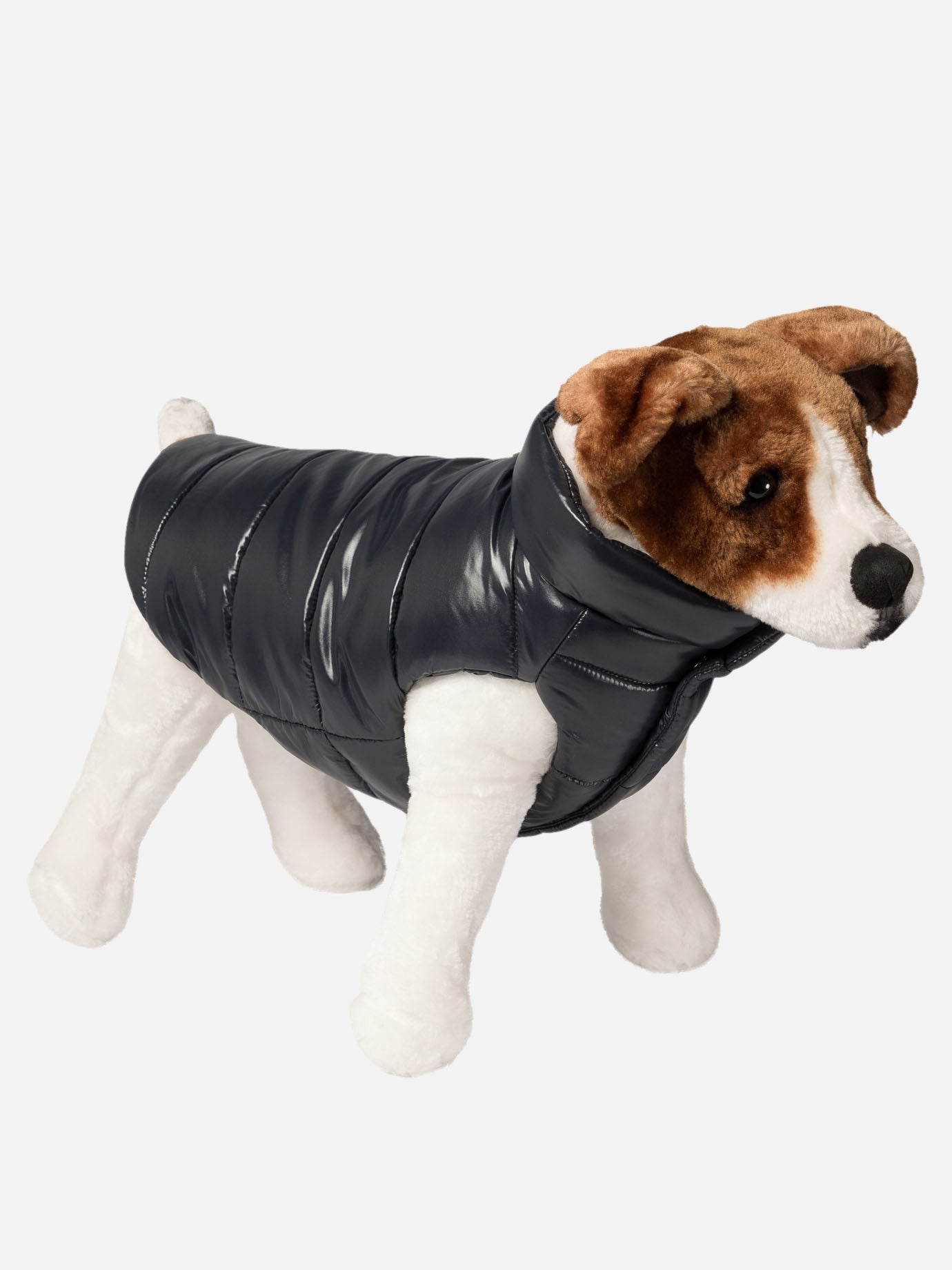 Dog vest