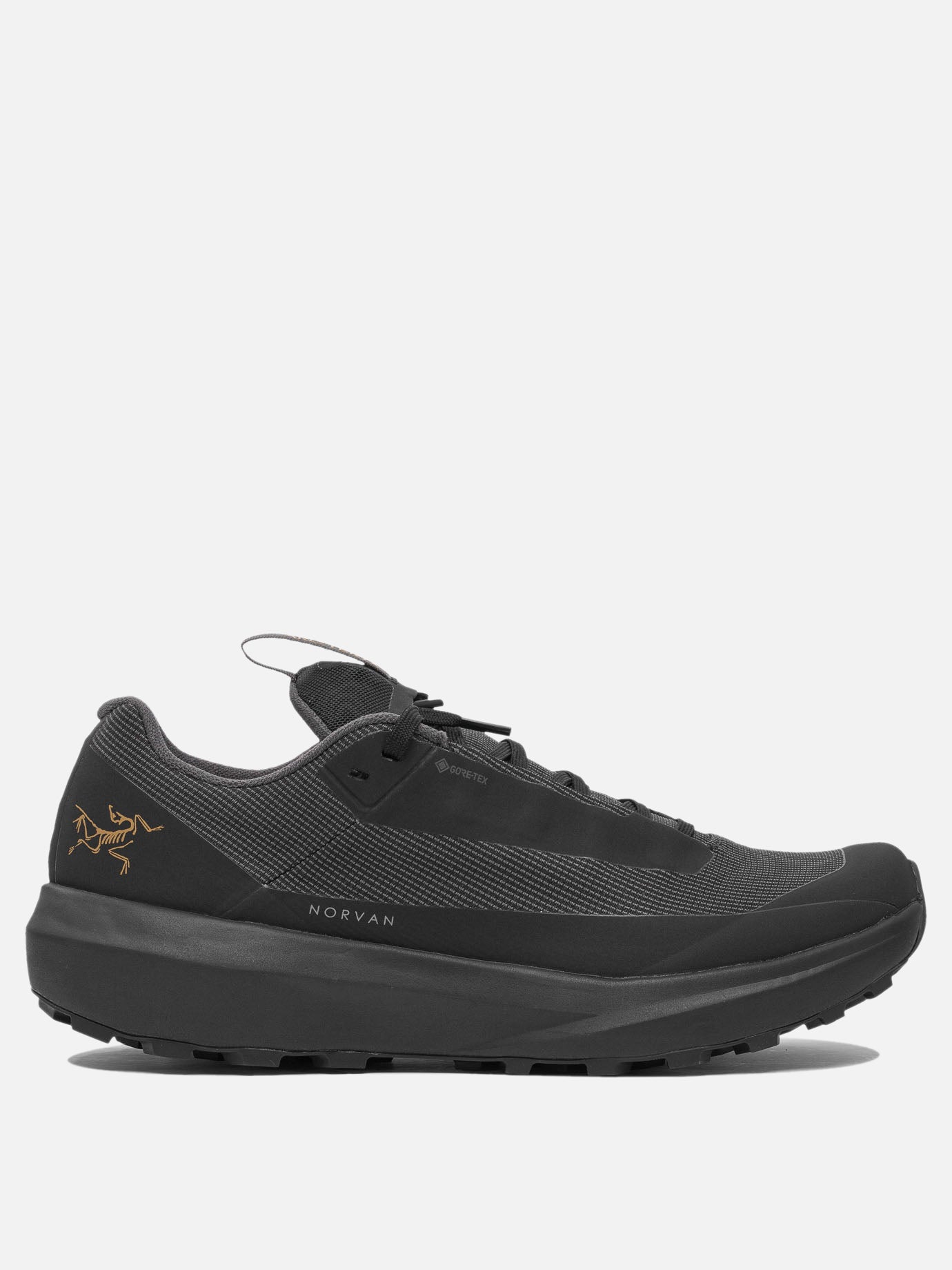 Arc&#39;teryx Sneaker &quot;Norvan LD 4 GTX&quot; 22155864_4 Black thumbnail_1