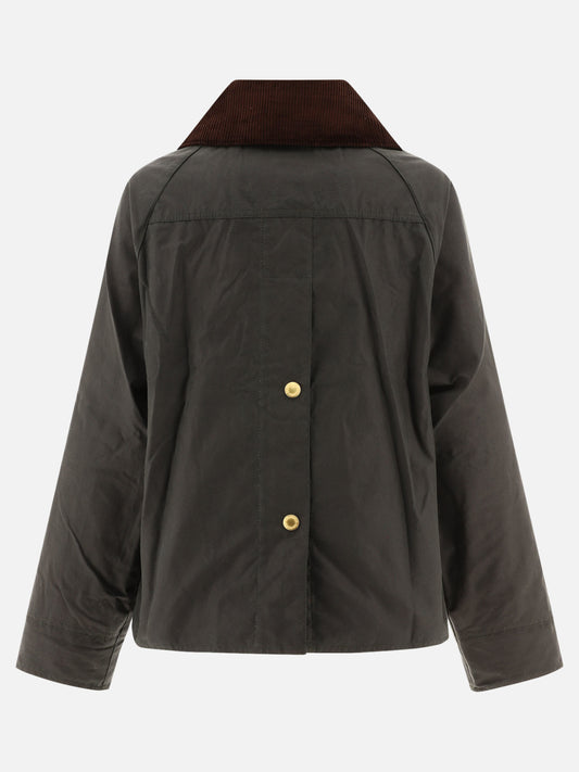 Impermeabili & Trench Logo  Beige - Barbour Donna | PLP | VIETTI Online Store | 2
