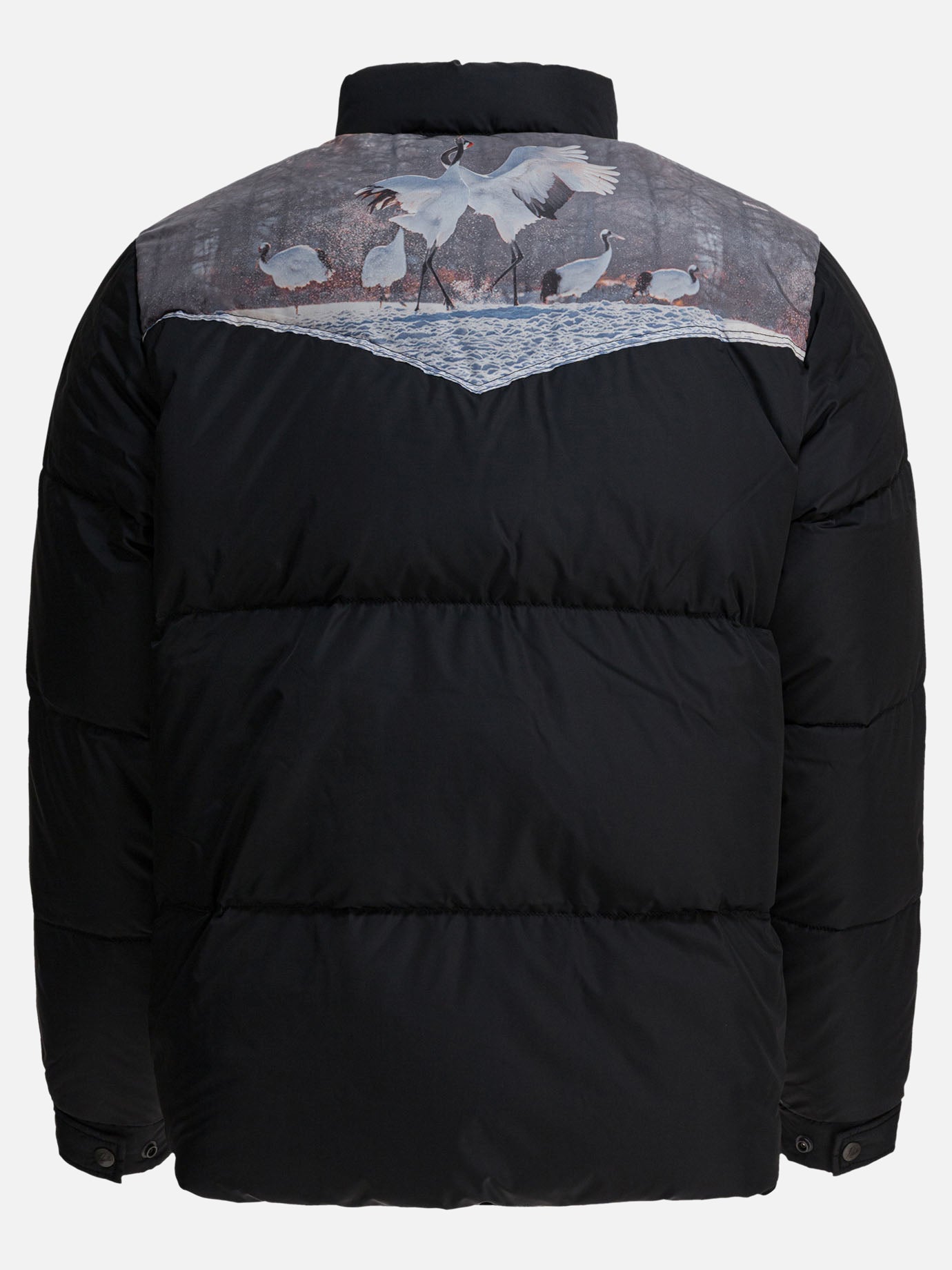 Down jackets Graphics  Black - Needles Men | PDP | VIETTI Online Store | Zoom-Modal_2
